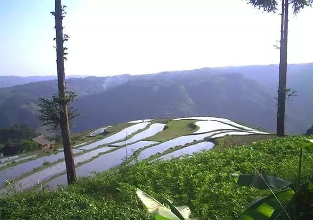 贵州天柱县八卦河下游莲花山水库北岸的神奇柳寨 贵州天柱县八卦河下游莲花山水库北岸的神奇柳寨