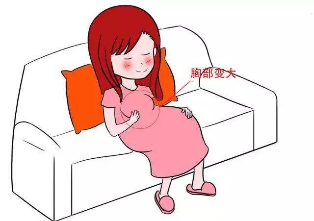 女人怀孕不单肚子会变大身体这些部位也会有变化哦