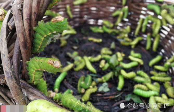 农村大妈集市上倒卖大青虫,路人看后纷纷远离,但营养价值高!