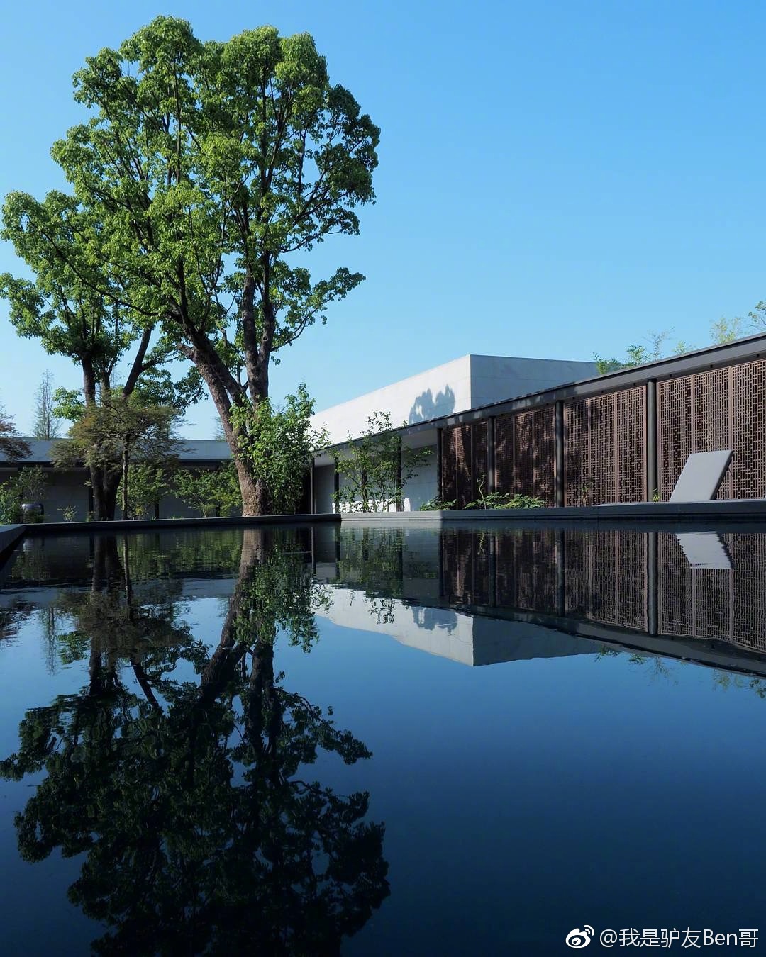 上海养云安缦|云安|古宅|樟树_新浪新闻