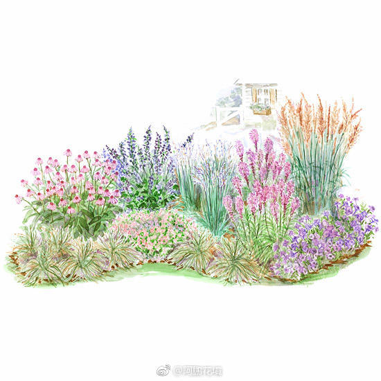 花境手绘喜欢那一张拿出来标示