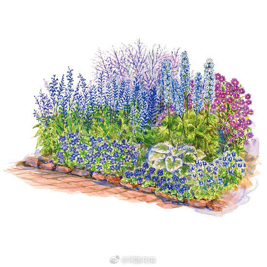 花境手绘喜欢那一张拿出来标示