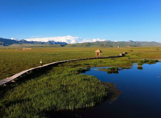 若尔盖大草原——川西北高原边瑰丽夺目的绿洲,和寂寥冬日的素原