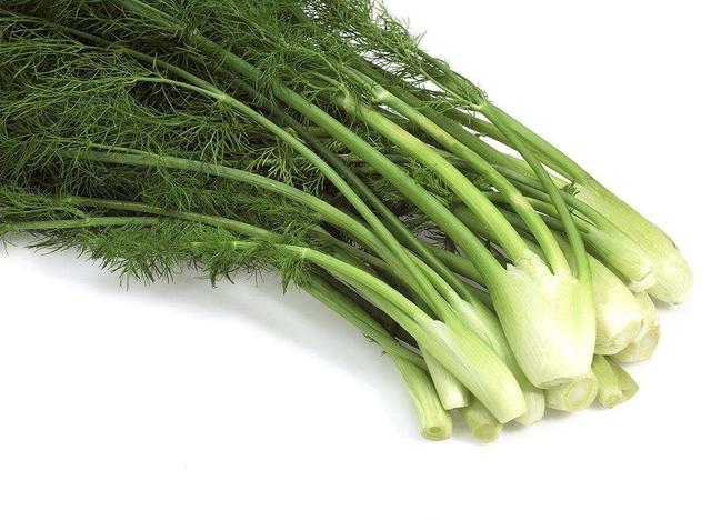 包饺子用它做馅,比韭菜,白菜饺子都好吃,老公连吃了40个还要吃|茴香