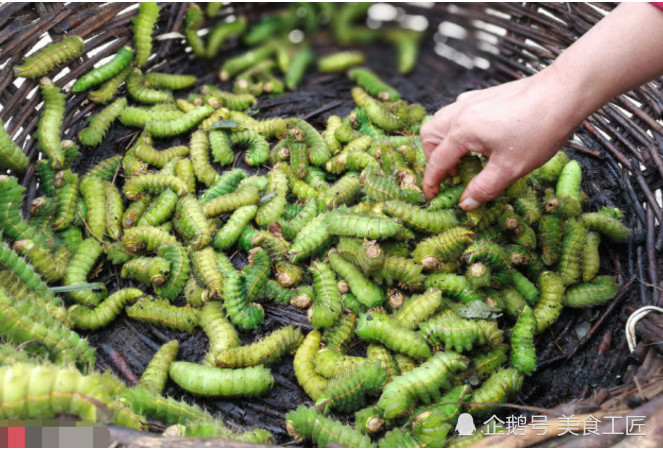 虫子|集市|大妈_新浪网