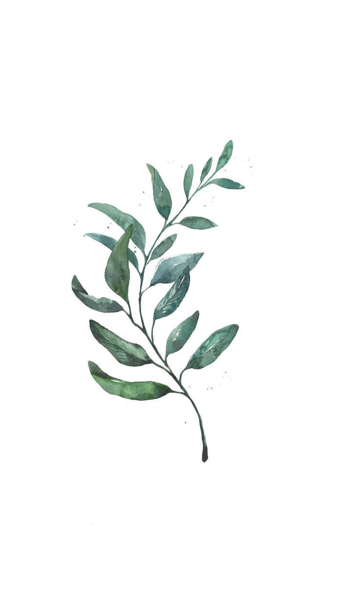 水彩绿色植物手机壁纸