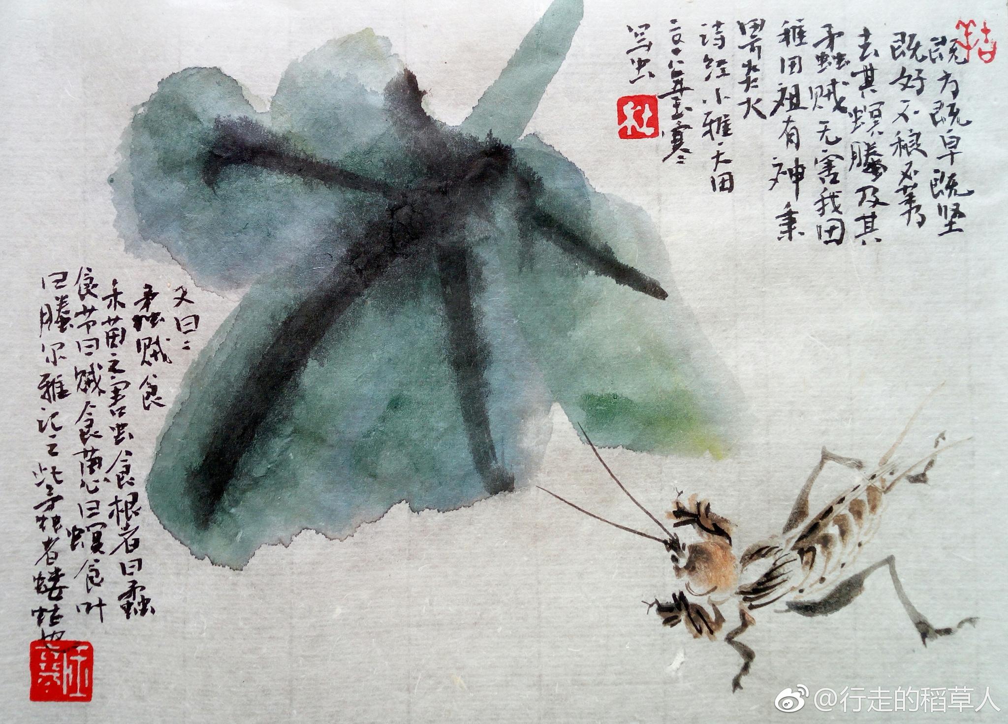 《诗经里的虫虫》蟊,蝼蛄也。《小雅-大田》既方既皁,既坚既好
