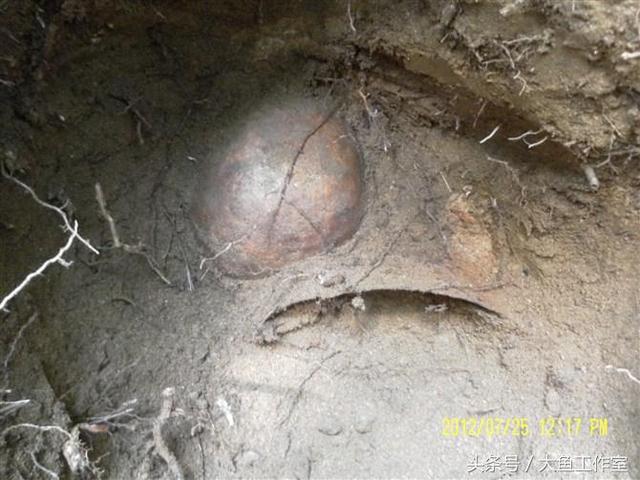 小兴安岭密林中发现侵华日军遗骨还有身份牌历史不可否认