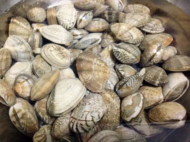 蛤蜊一分钟吐沙,再也不担心碜到牙了|蛤蜊|香菜|温水_新浪新闻