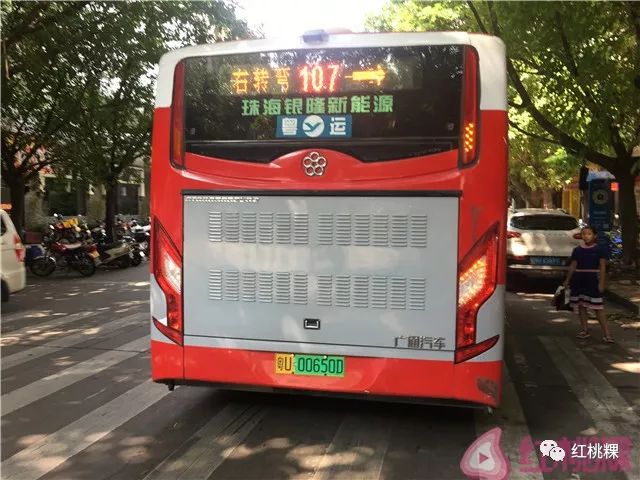 市区107路公交车为何到站不报站?请看调查