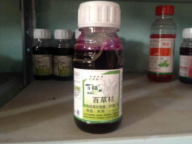 为什么发明百草枯的人不发明解药呢?今天算长见识了