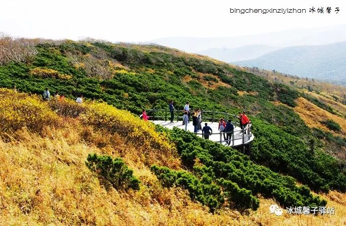 大峽谷哈爾濱帽兒山風景區伊春桃山懸羊峰生態旅遊的重要內容是溼地遊