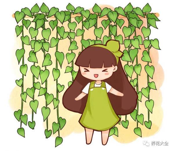 爬山虎|空调|太太_新浪新闻