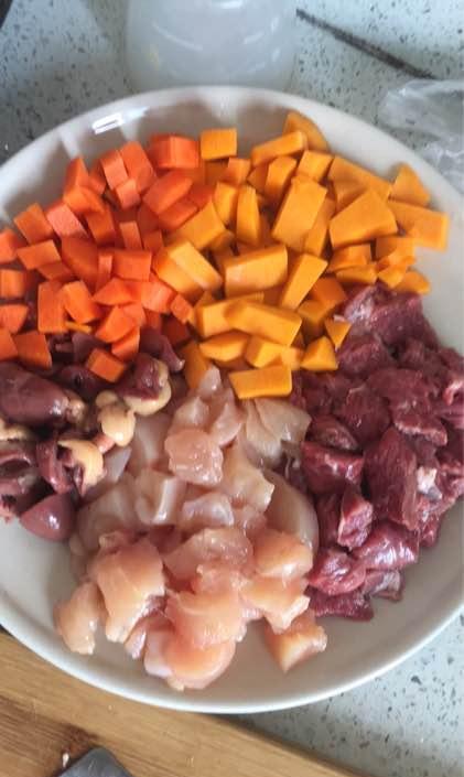 自制了猫粮, 家里的两只猫饿了一天也不肯吃, 我