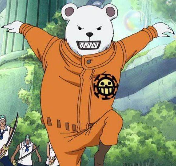 红心海贼团航海士,跟随罗已有十年,是一个非常容易消极的北极熊,被