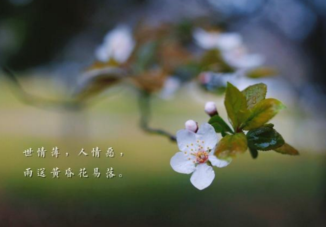 人活着,不要总为难了自己,看开,放开,让一切顺其自然