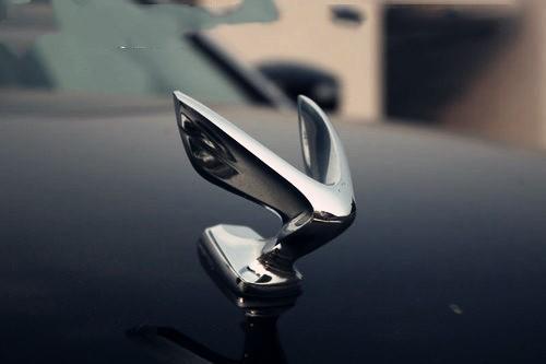 3万拿下现代雅科仕看车标值200万车主表示转手能赚1倍