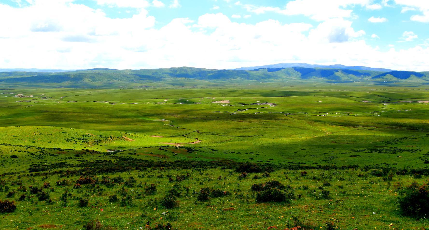川西草原之旅d2红军长征经过的松潘草原