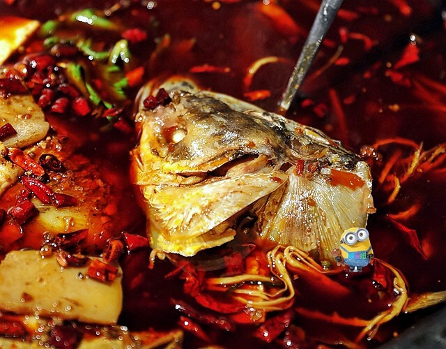 来自成都火爆16年的鱼头火锅