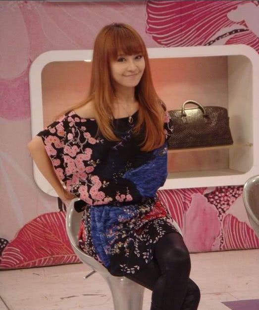 圈封杀,为证清白造谣亲弟有精神病|丁小芹|诈骗罪|娱乐圈_新浪新闻