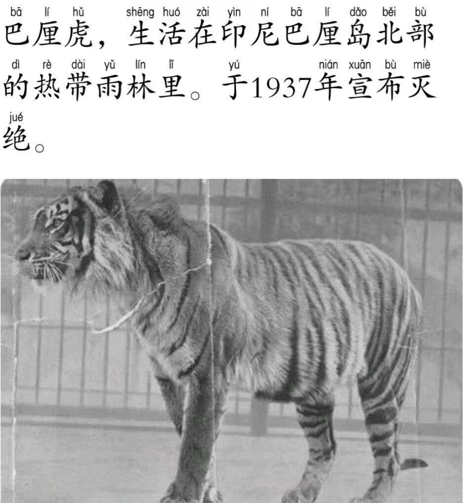 【已灭绝动物的最后影像记录】