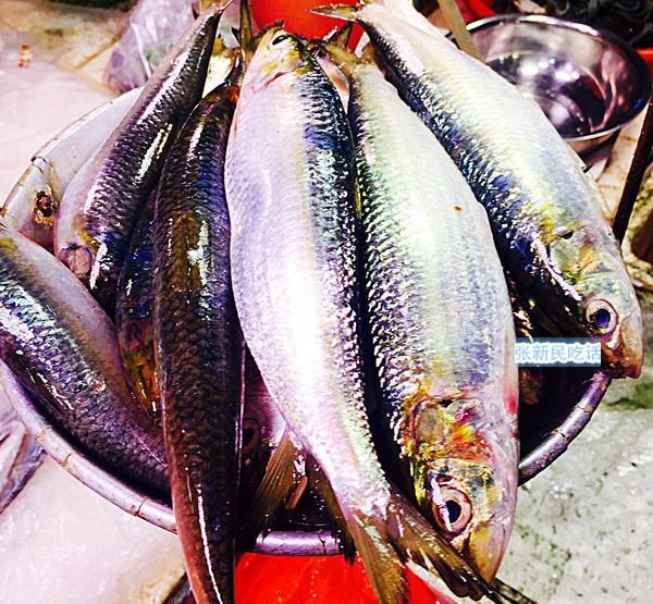 巴浪鱼名气大得很,但巴浪鱼同时又是很多鱼的泛称