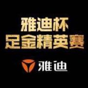 足金精英赛