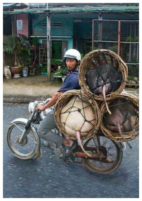 搞笑趣闻这是要一家出行的节奏,你们猜这辆摩托车到底乘坐几个人?