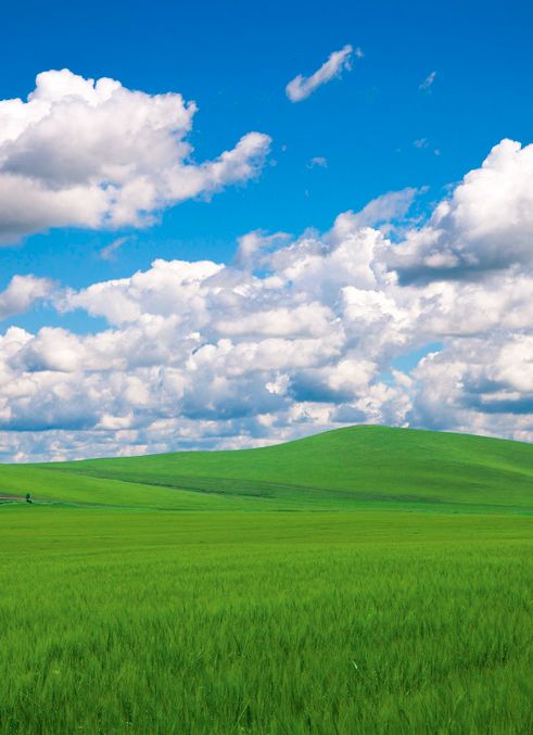 又到草原最美时,但千万别去内蒙古!我怕你会后悔