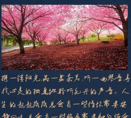 经典说说:顺其自然,潇洒转身说再见