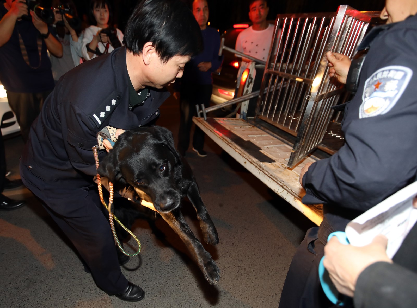 西安深夜捕捉无证犬 狗狗"绝望"眼神惹人怜