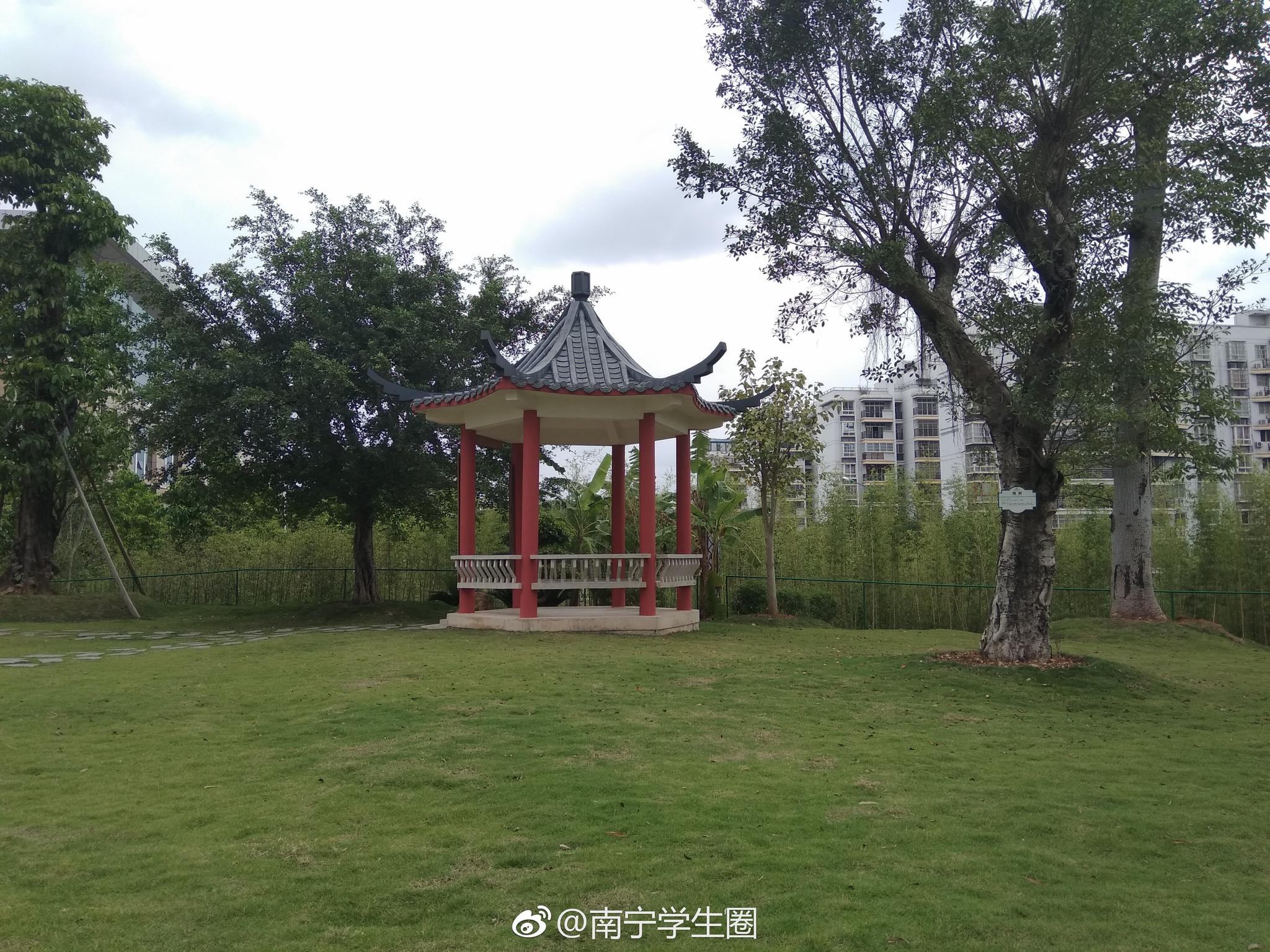 广西中医药大学风景图图片