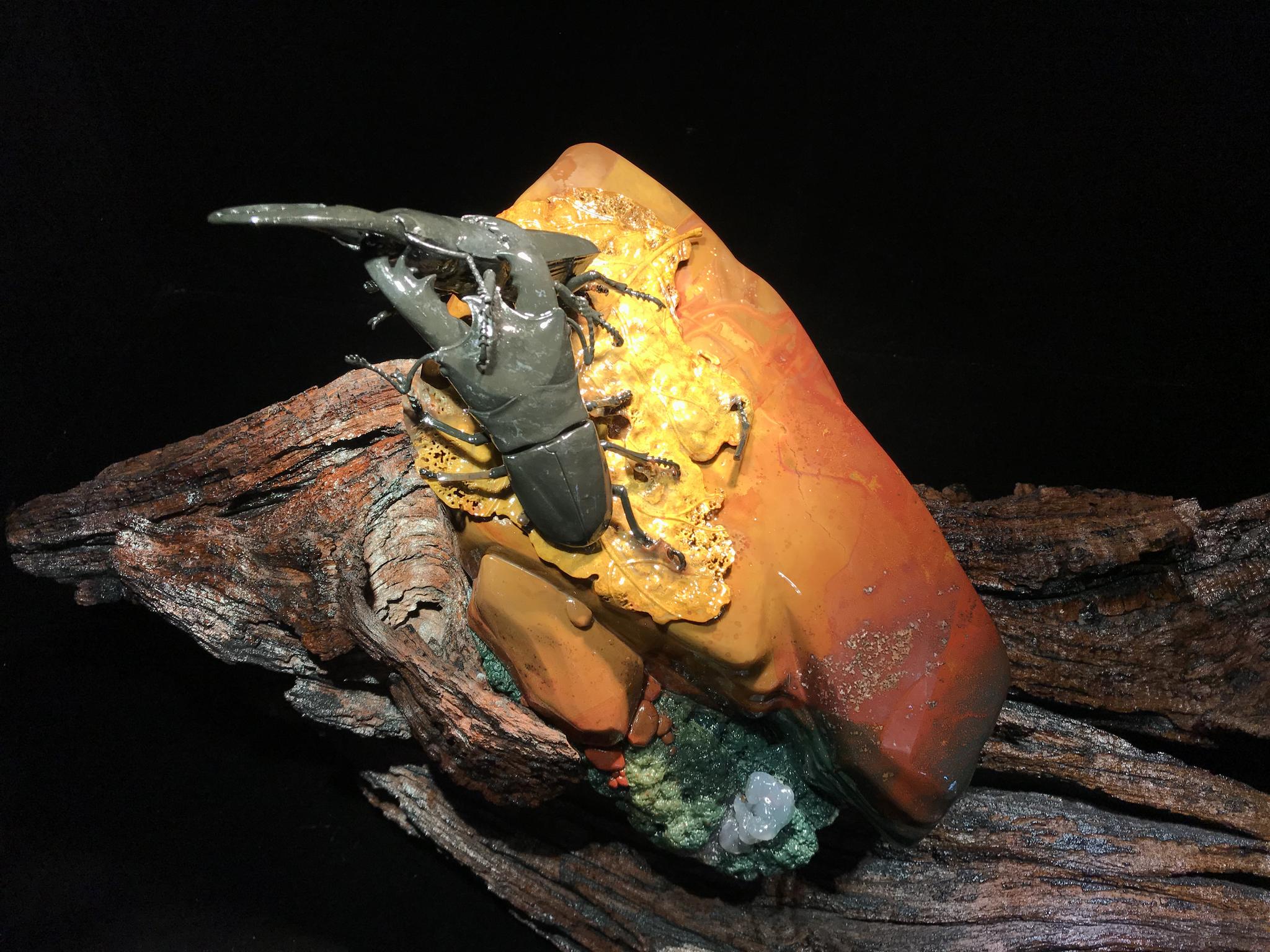 露重惊秋虫,斗甲争残枫_新浪看点