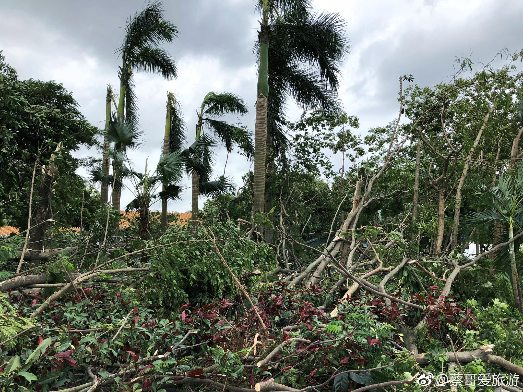 今年的山竹超强台风算是我来深圳这么多年经历过的最强台风了