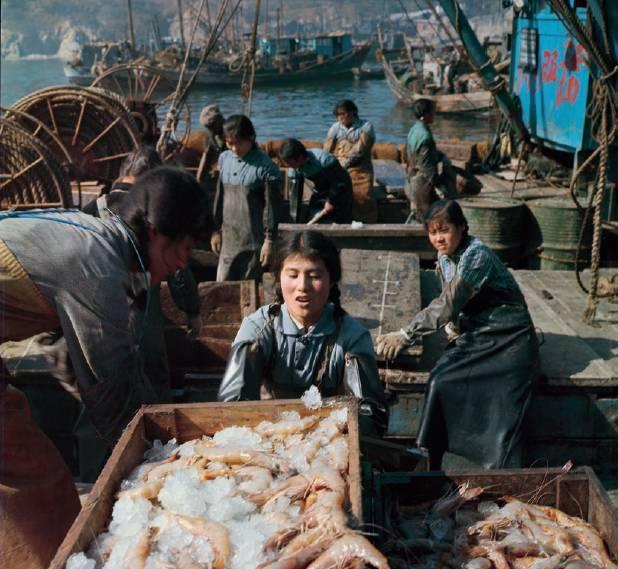 1971年中国农村真实老照片: 图2让人怀念,图10很多人一定做过