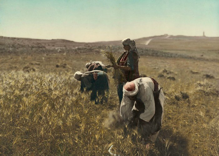 巴勒斯坦地区贝都因人牧羊人,他们是阿拉伯民族的一个分支,属于游牧