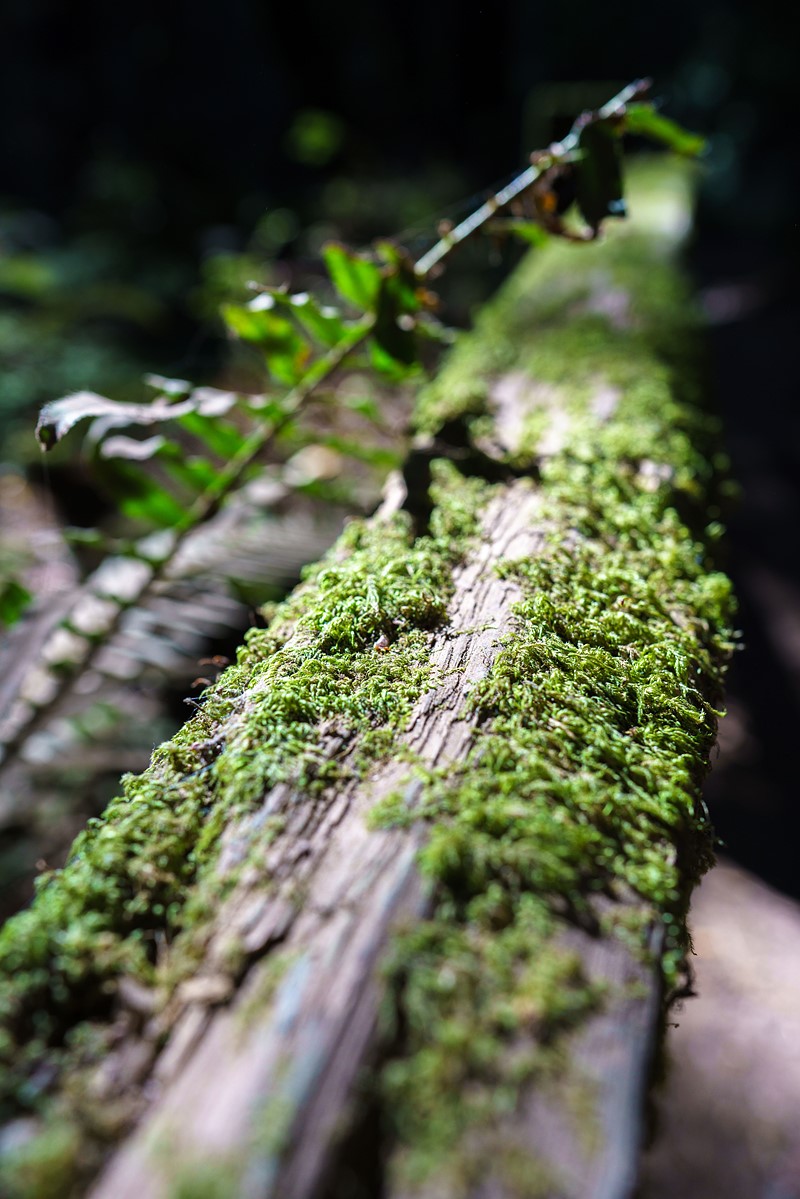 摄影欣赏丨索尼24mm f1.4 gm镜头实拍样张欣赏