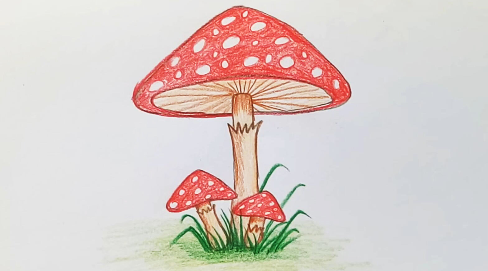 彩铅画漂亮蘑菇!