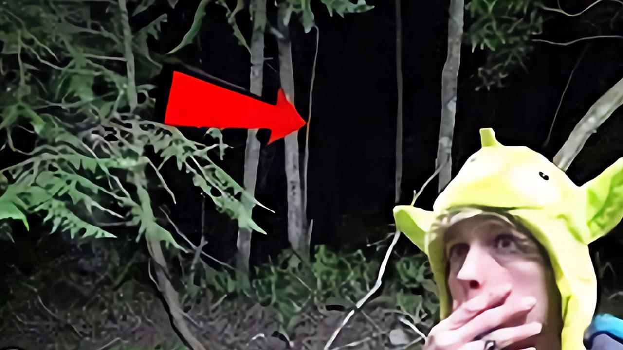 日本青木原森林号称全世界最阴森公园 自杀者圣地 灵异事件频发