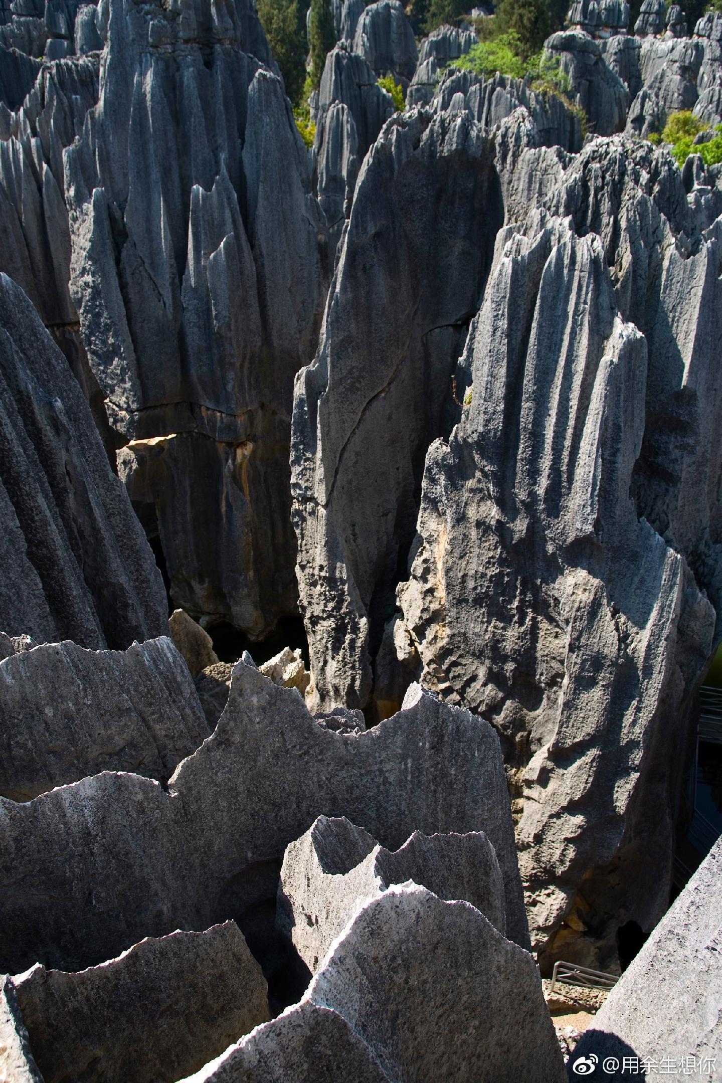 石林风景区(stone forest scenic)