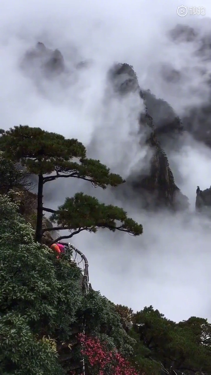 水墨人间,神仙一样的境界.