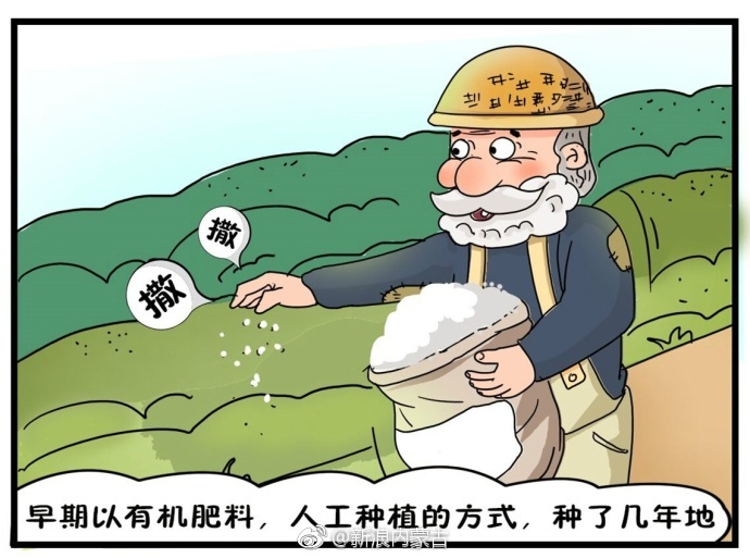 节能宣传周系列漫画连连看化肥使用知多少