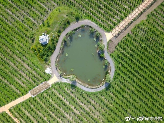 挖个池塘都是爱你的形状