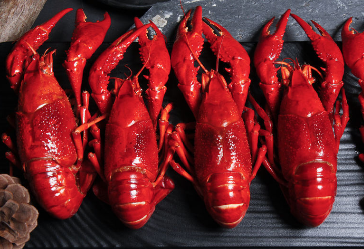 重金属|小龙虾|大食品_新浪新闻