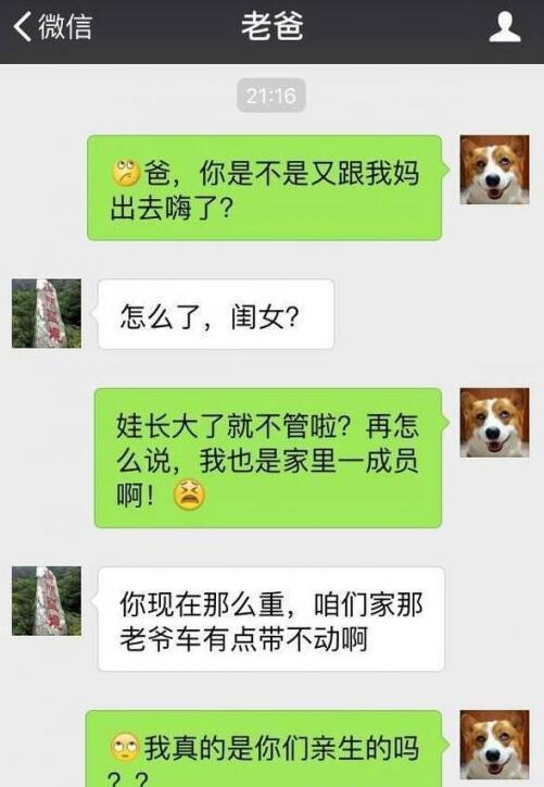 七巧君:我是亲生的?感觉有点扎心
