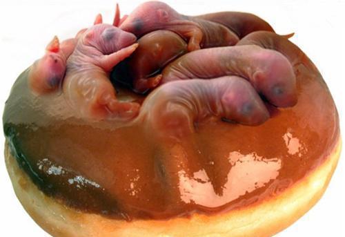 中国这十道恐怖禁菜, 比活吃猴脑还可怕, 看完还敢吃的算你牛!