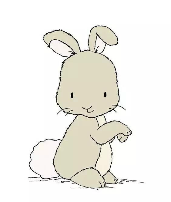 小兔子的样子漫画图片