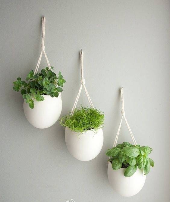 家居吊挂式绿植可以如此放松.