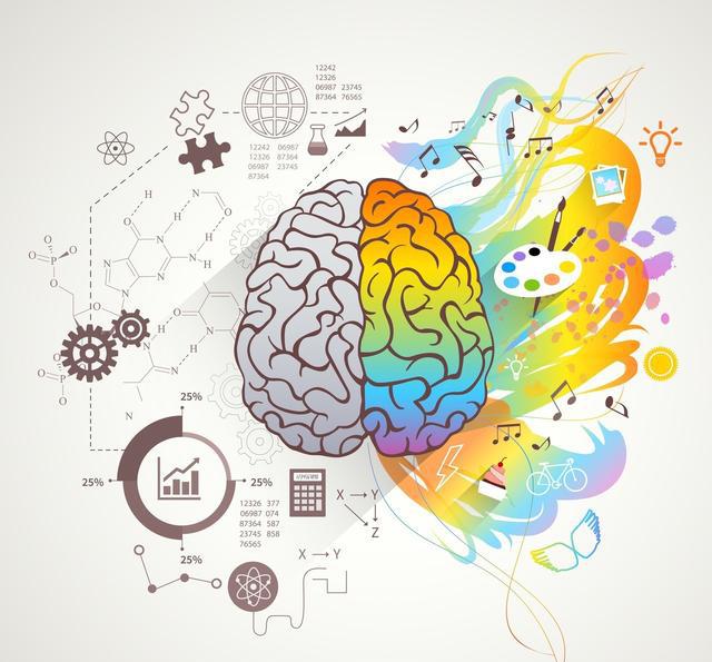 和最强大脑dr魏学育儿发散思维小游戏一