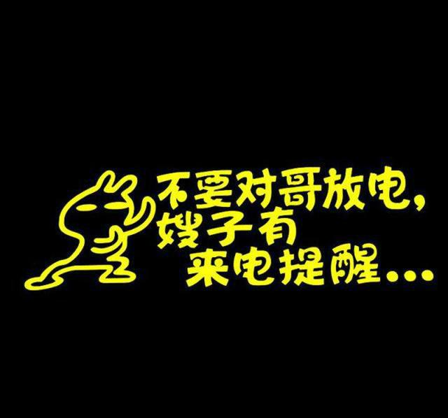 有些喜欢个性的车主就会会一些个性的车标,有搞笑的,有警告的五花八门